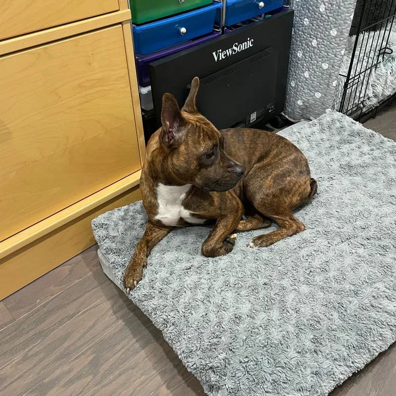 Mercedes thumbnail 6