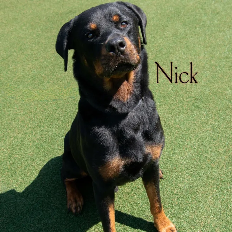Nick