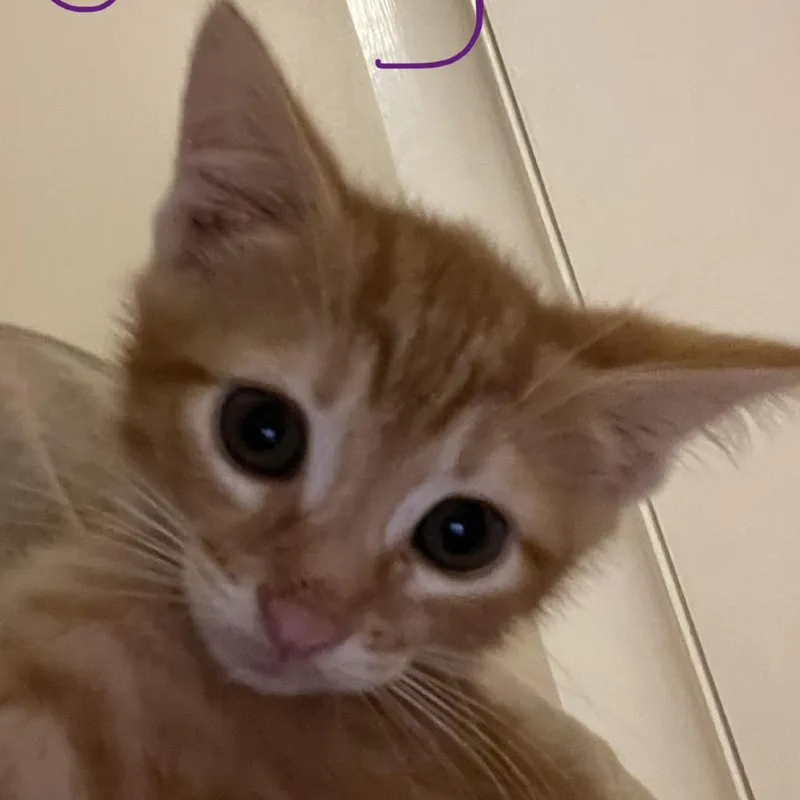 George
