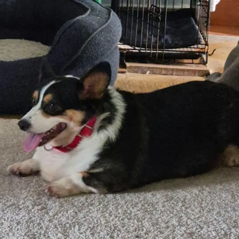 Lulu thumbnail 5