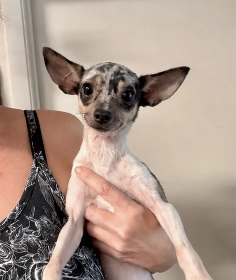 Betty thumbnail 2