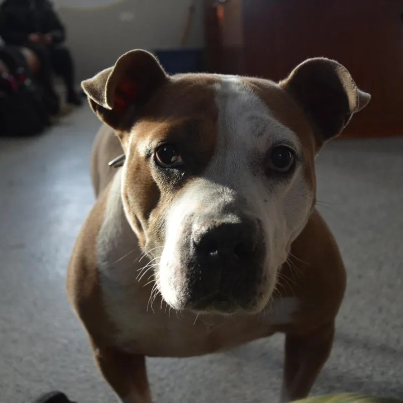 Precious thumbnail 2