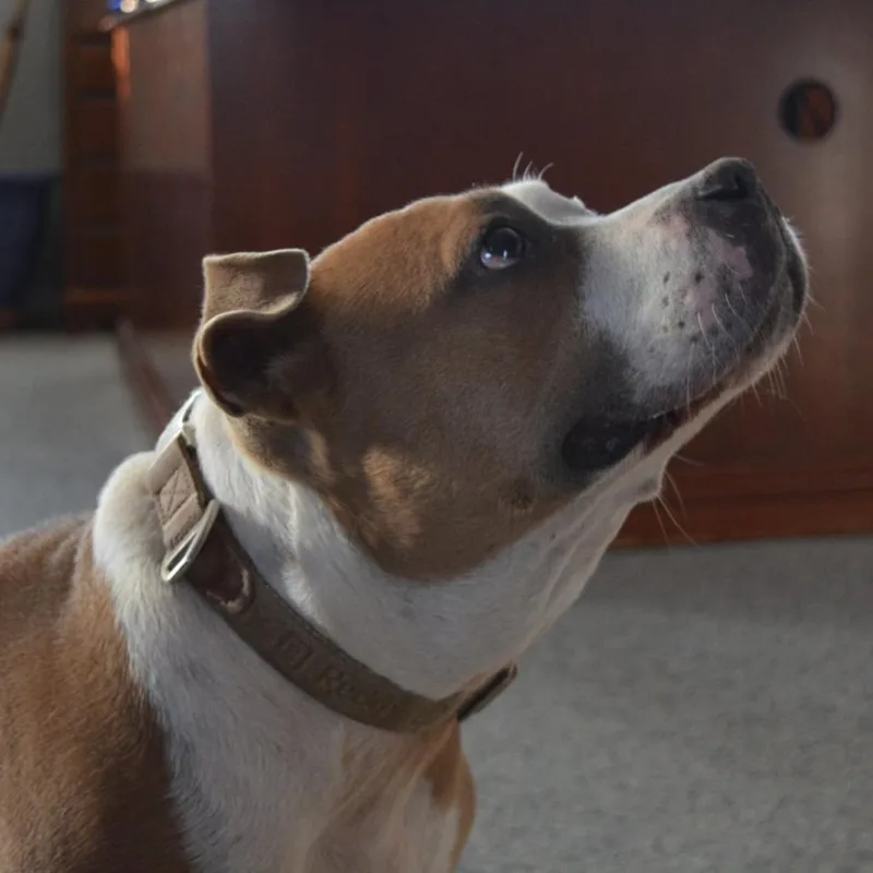 Precious thumbnail 3