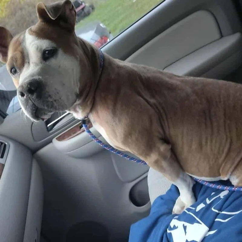 Precious thumbnail 5