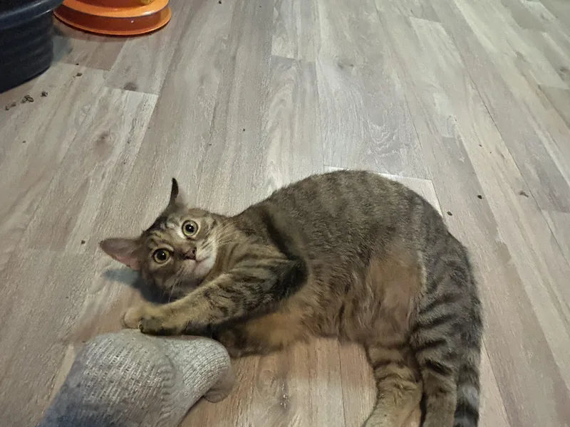 Margo & Gru thumbnail 2