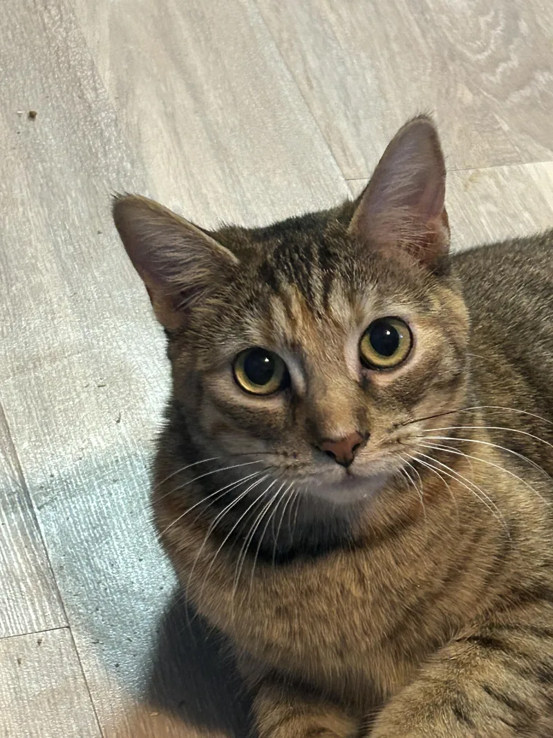 Margo & Gru thumbnail 3