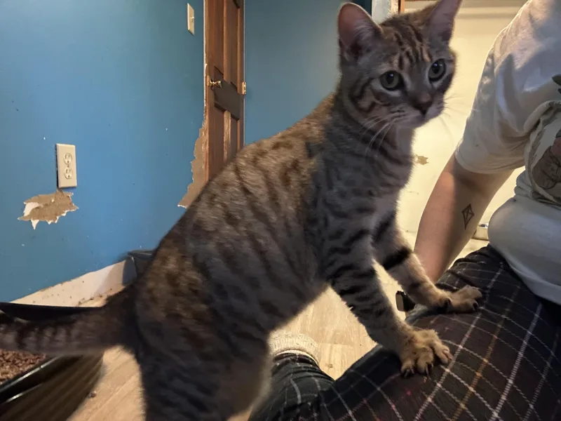 Margo & Gru thumbnail 4