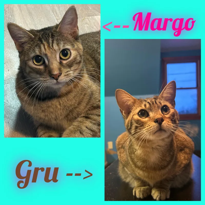 Margo & Gru
