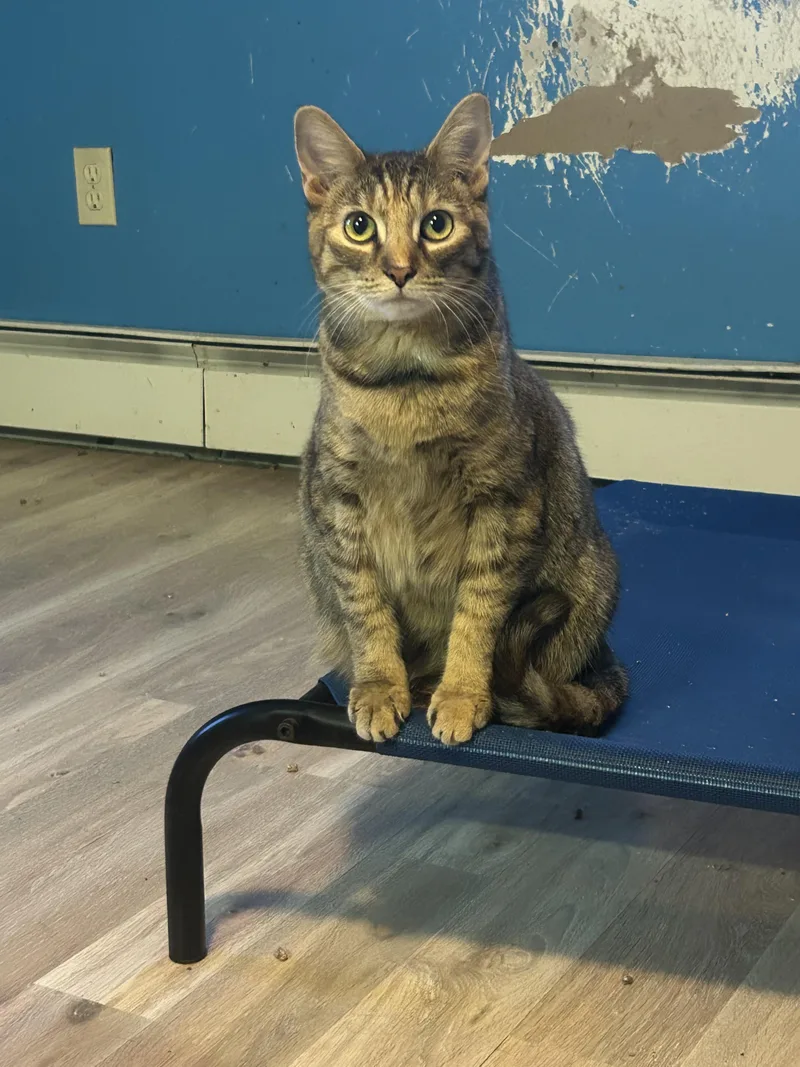 Margo & Gru thumbnail 5