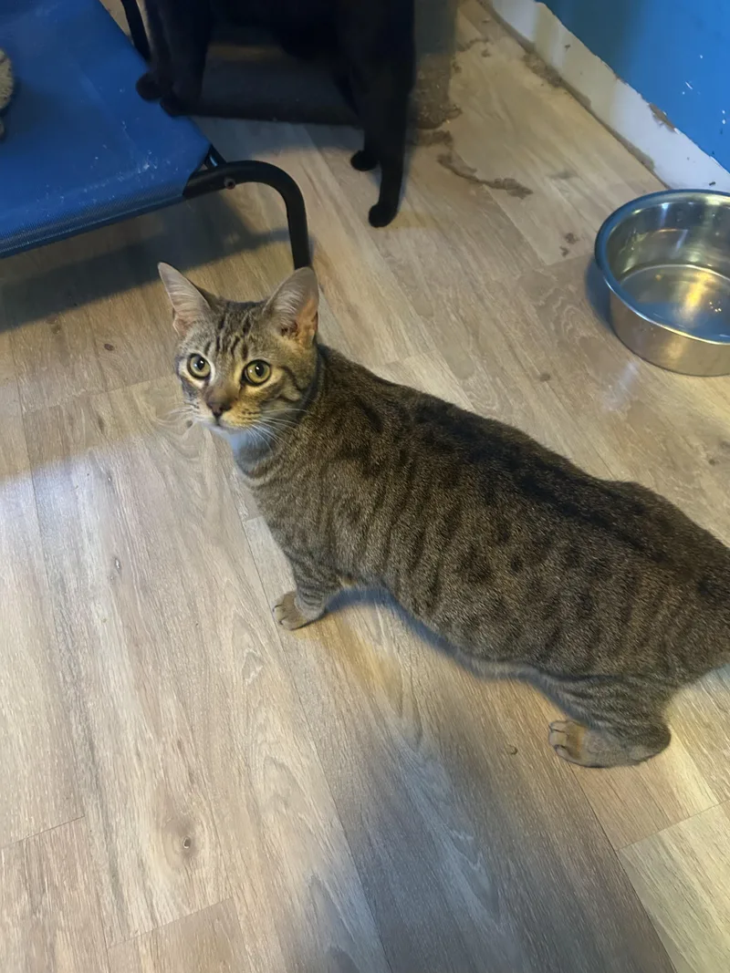 Margo & Gru thumbnail 6