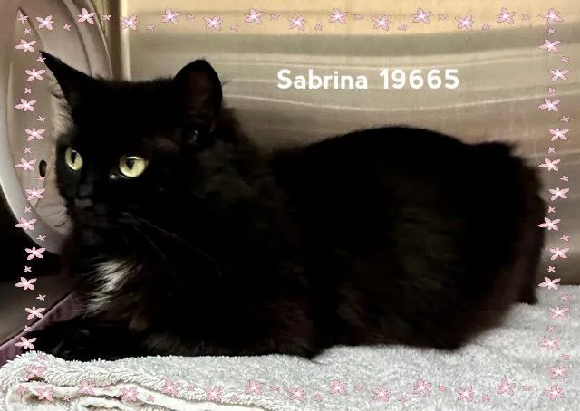 Sabrina