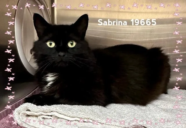 Sabrina thumbnail 2