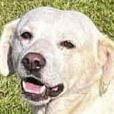Tucker thumbnail 3