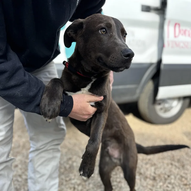 Bill Board thumbnail 3