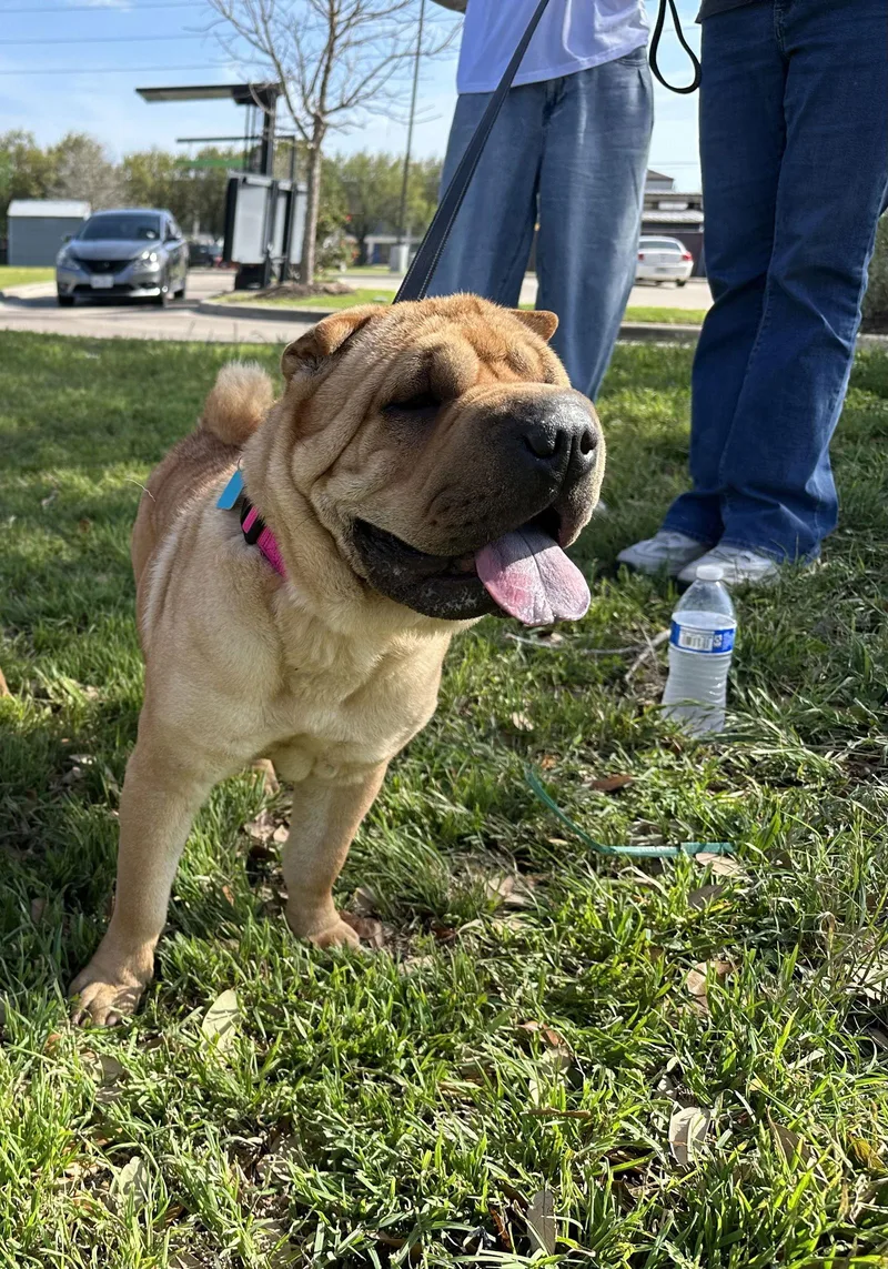 Mary Kate thumbnail 2