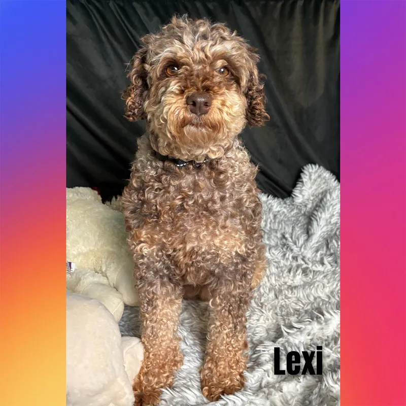 Lexi thumbnail 5