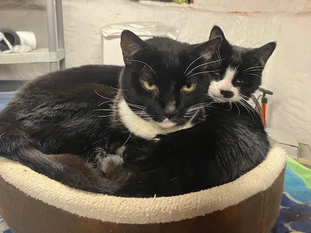 Pinky & Charlie thumbnail 2