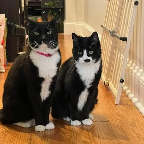 Pinky & Charlie thumbnail 5