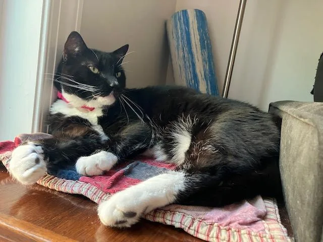Pinky & Charlie thumbnail 6