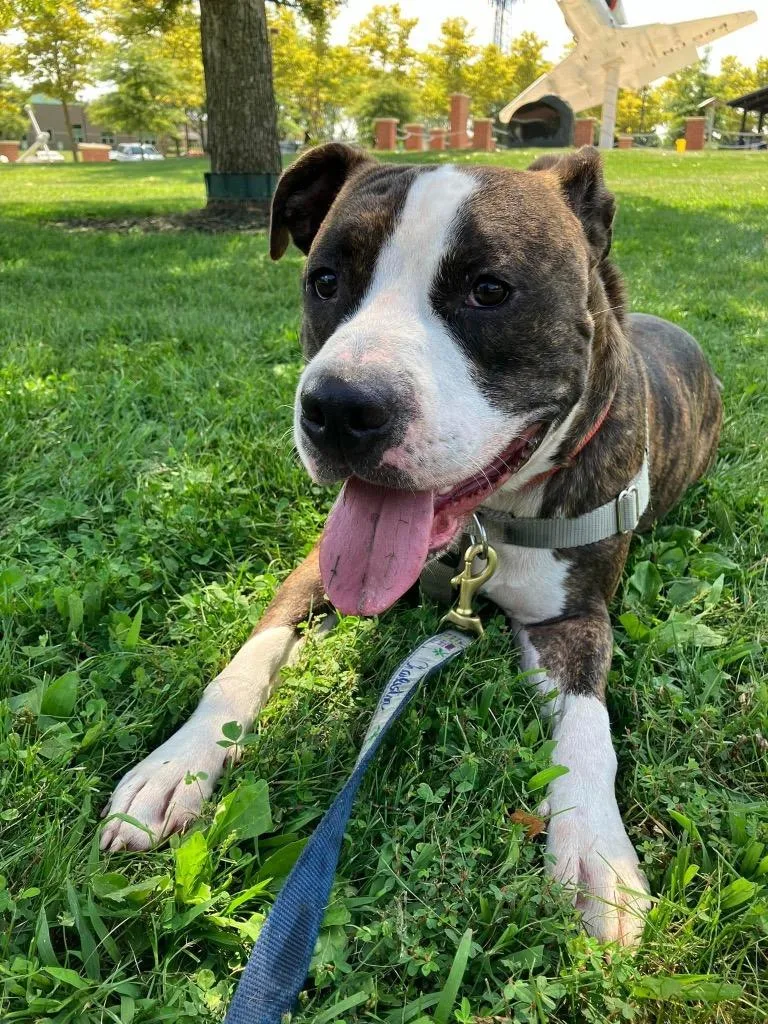 Sebastian thumbnail 2