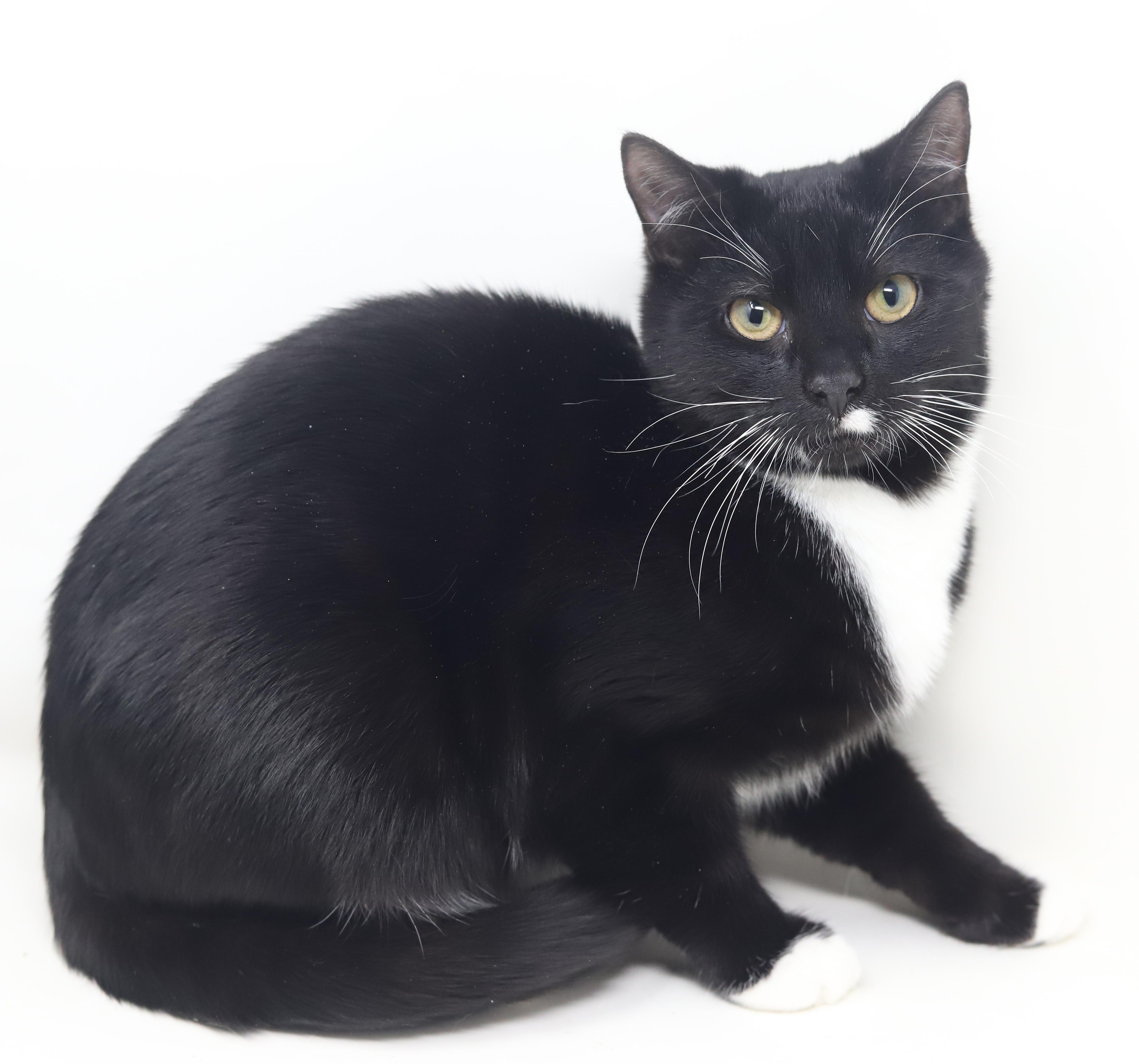 Orlando And Dawn!  thumbnail 2