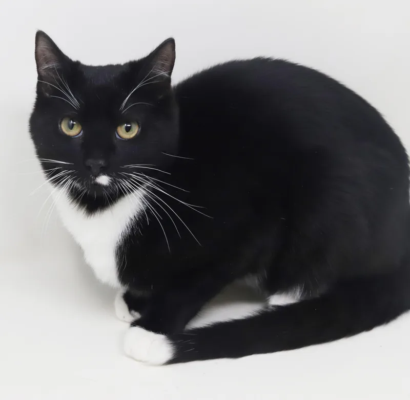 Orlando And Dawn!  thumbnail 3