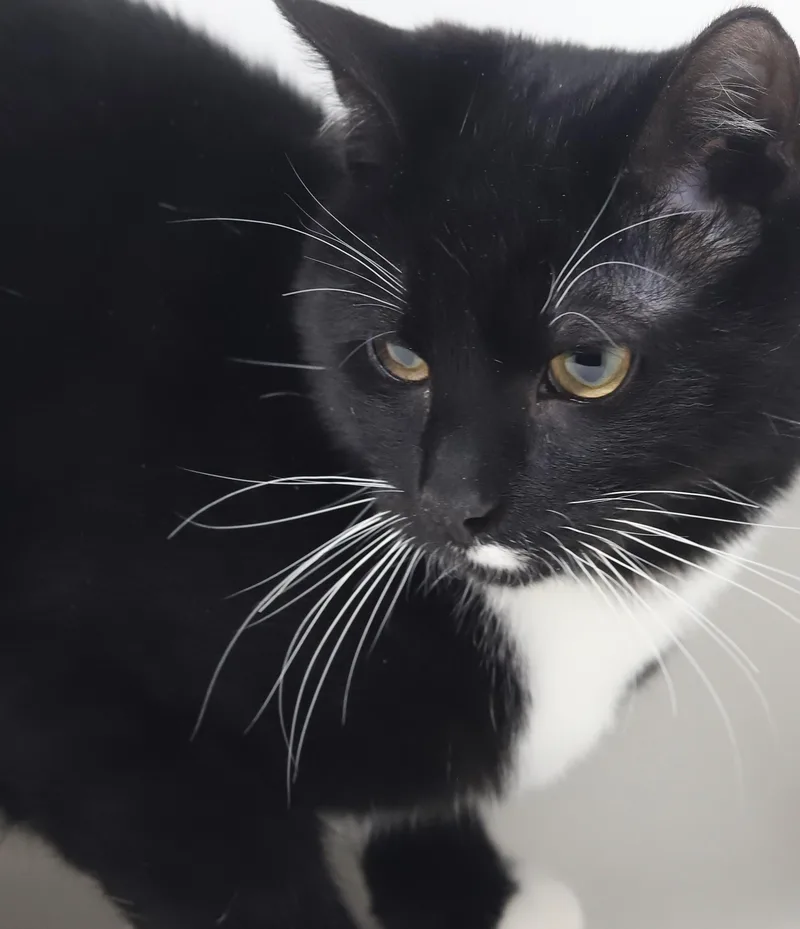 Orlando And Dawn!  thumbnail 6