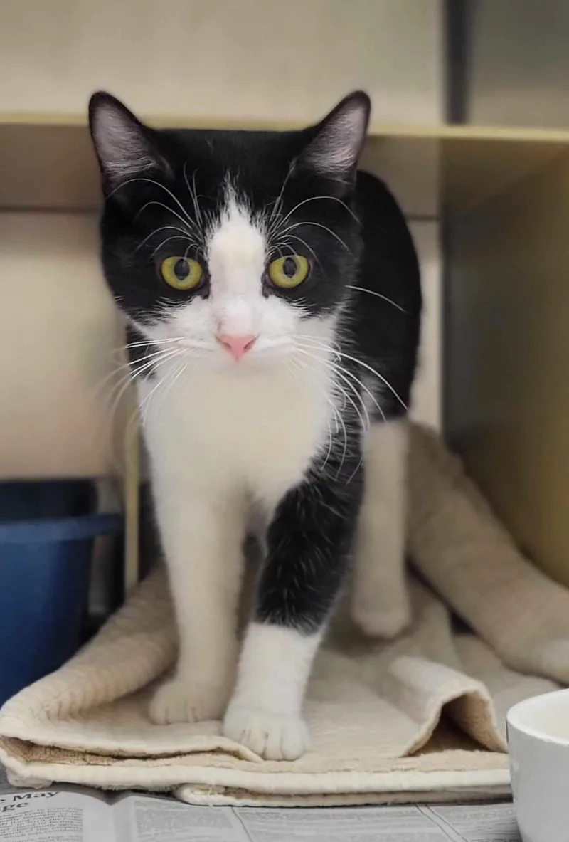 Tallulah thumbnail 3