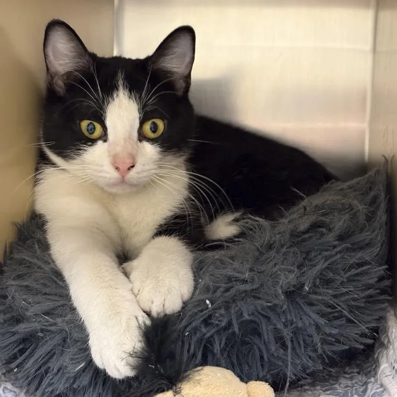 Tallulah thumbnail 4