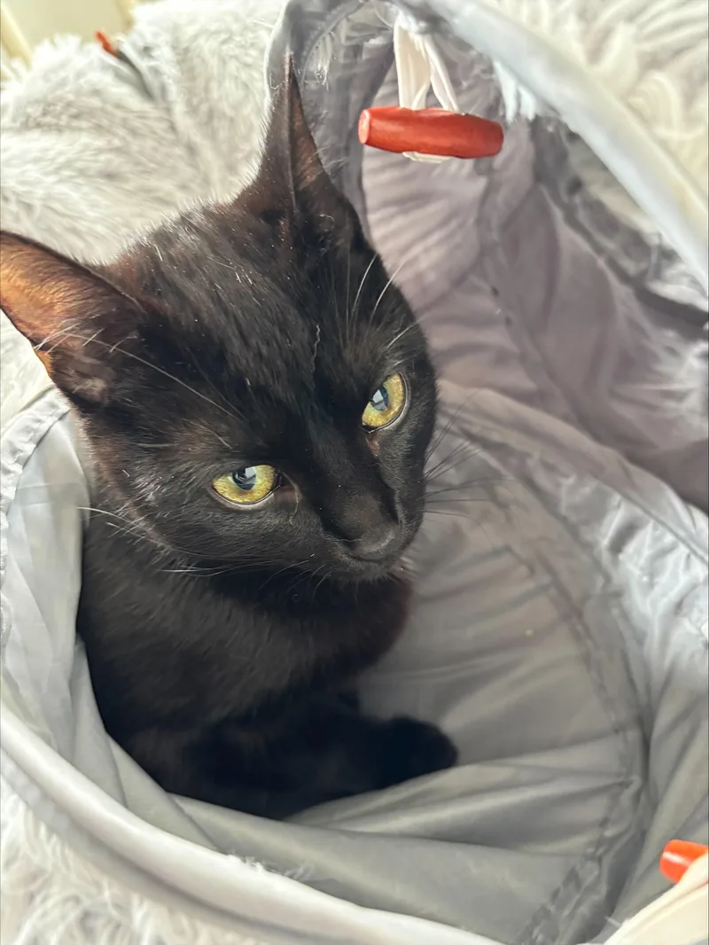 Sallyanne thumbnail 2