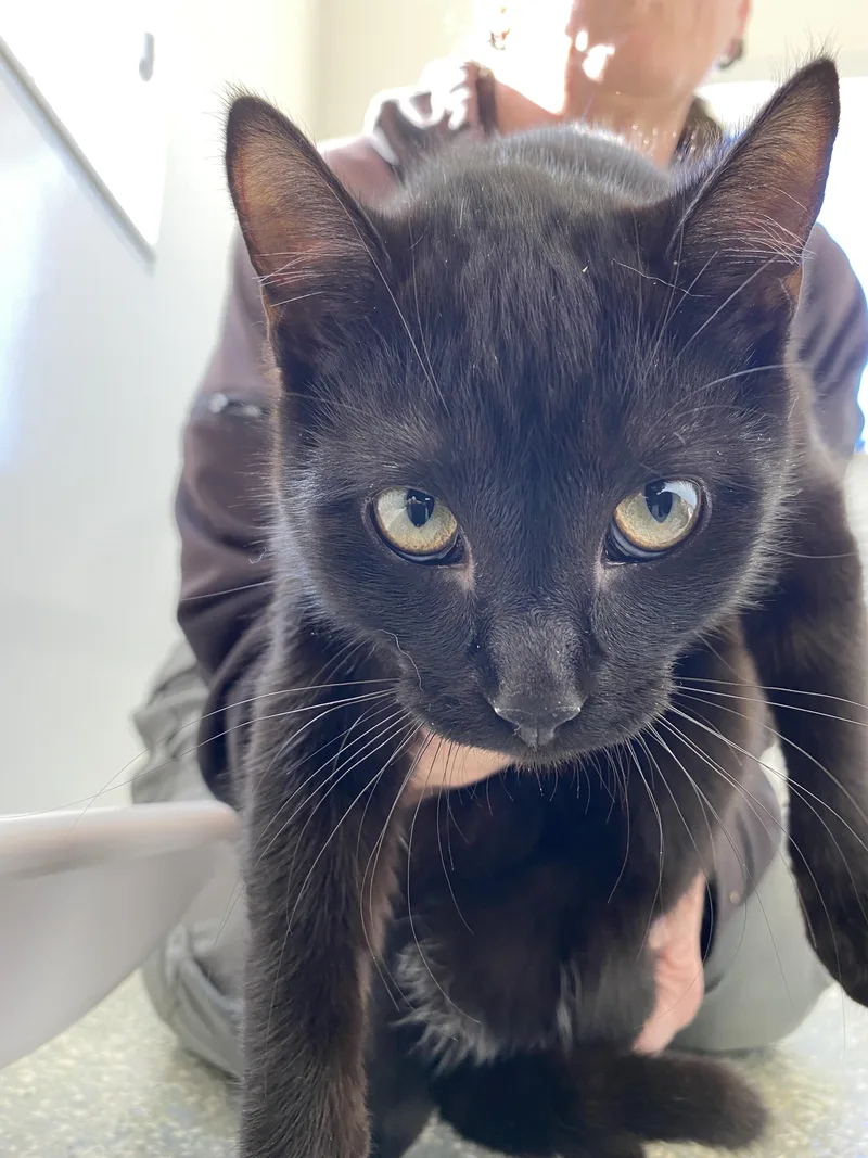 Sallyanne thumbnail 3