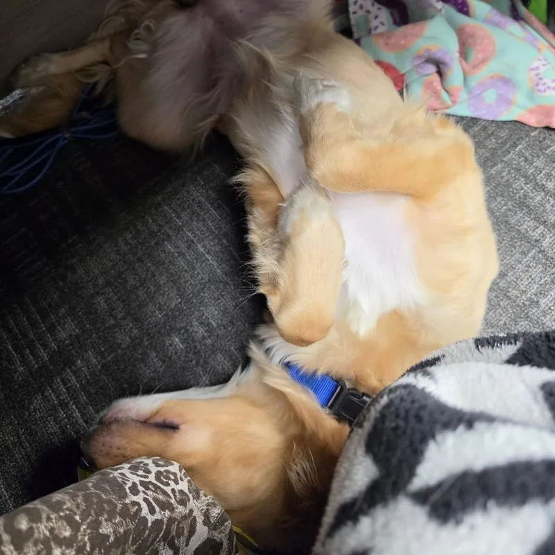 Marley thumbnail 5