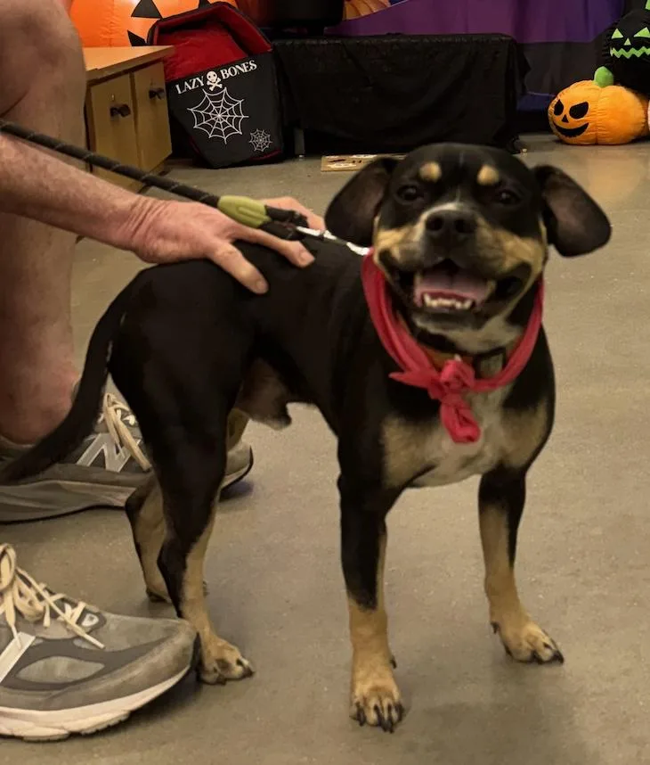 Rufus Lee thumbnail 3
