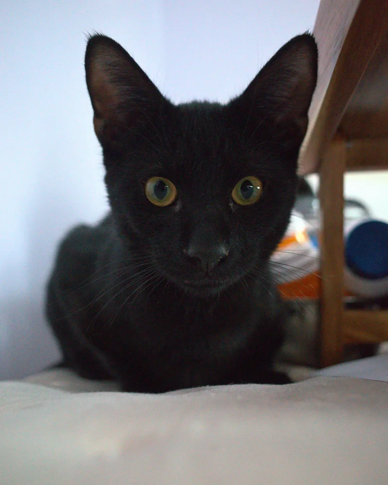 Matty thumbnail 2