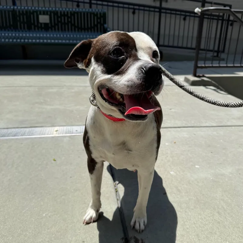 Fiona