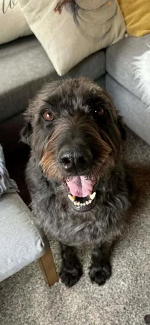 Maggie