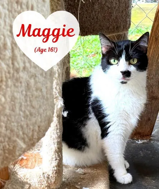 Maggie thumbnail 2