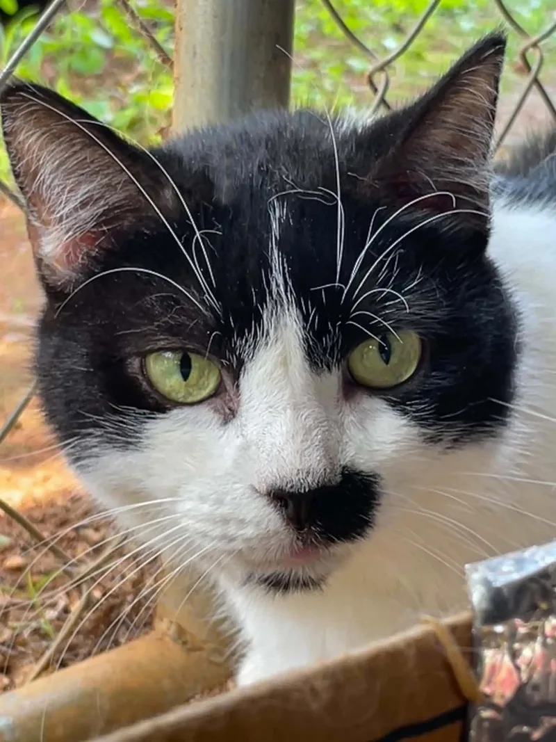 Maggie thumbnail 3