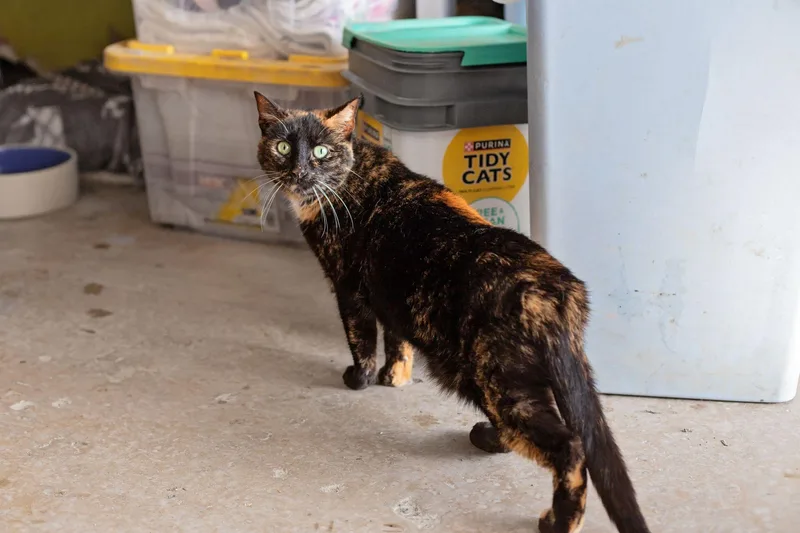 Sonia & Cookie thumbnail 3