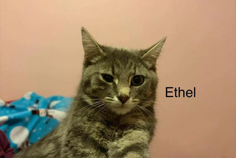 Ethel
