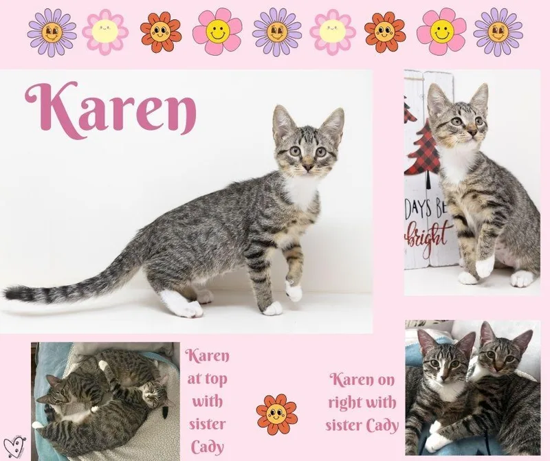 Karen thumbnail 4
