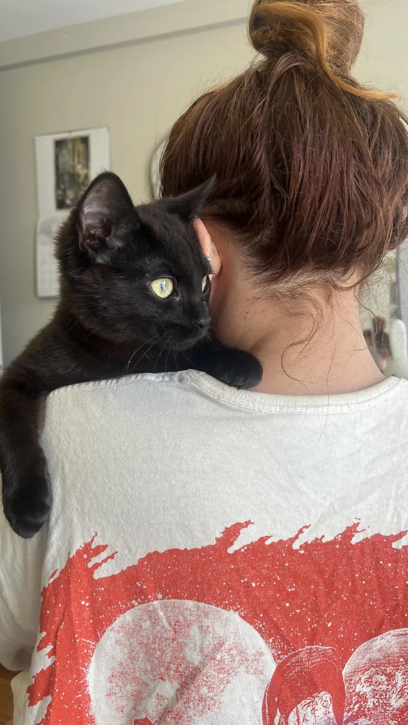 Baby Baker thumbnail 2