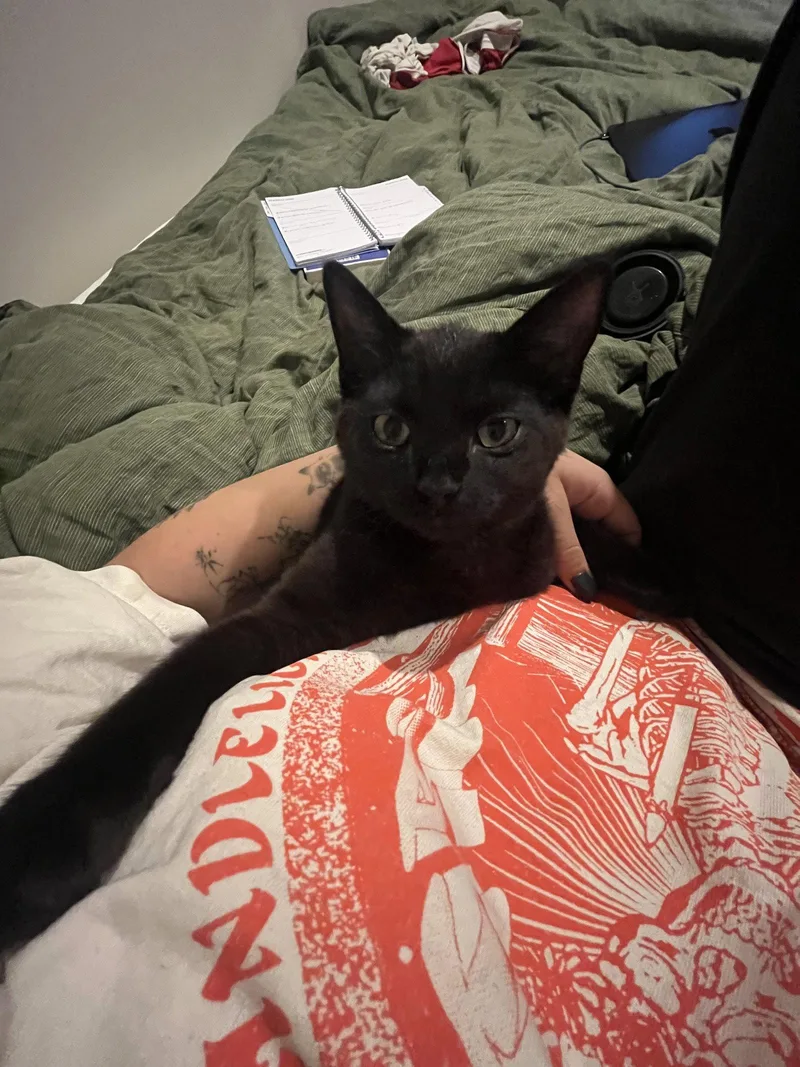 Baby Baker thumbnail 3