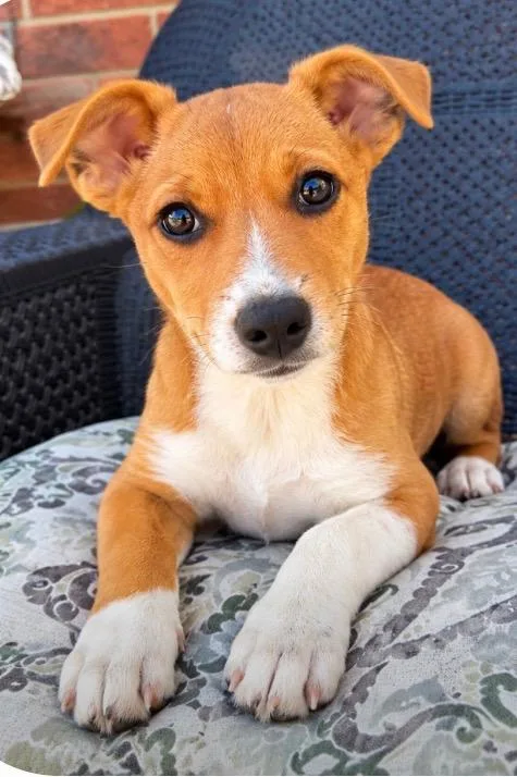 Buster thumbnail 2