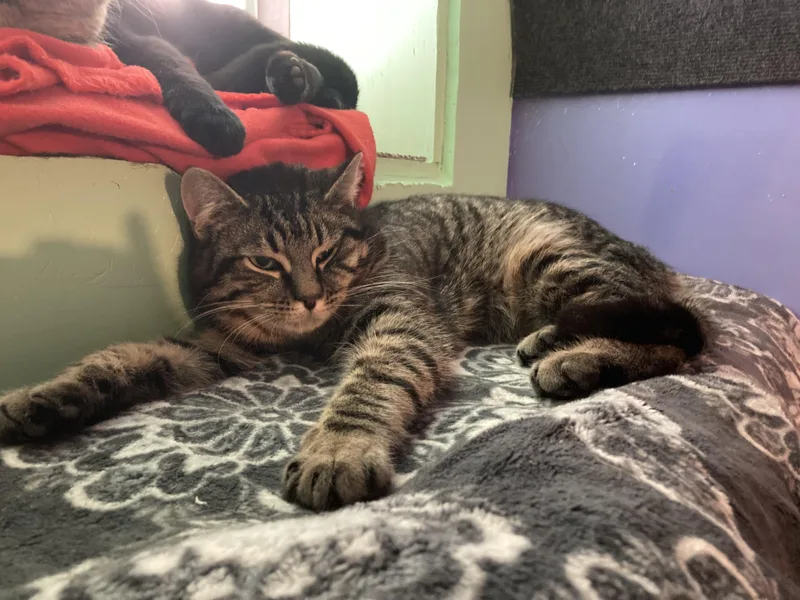 Jake And Jessy thumbnail 2