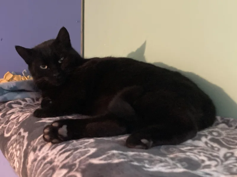 Jake And Jessy thumbnail 3