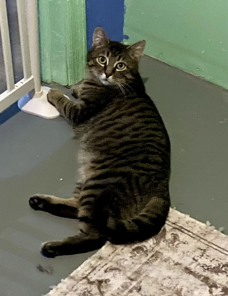 Jake And Jessy thumbnail 4