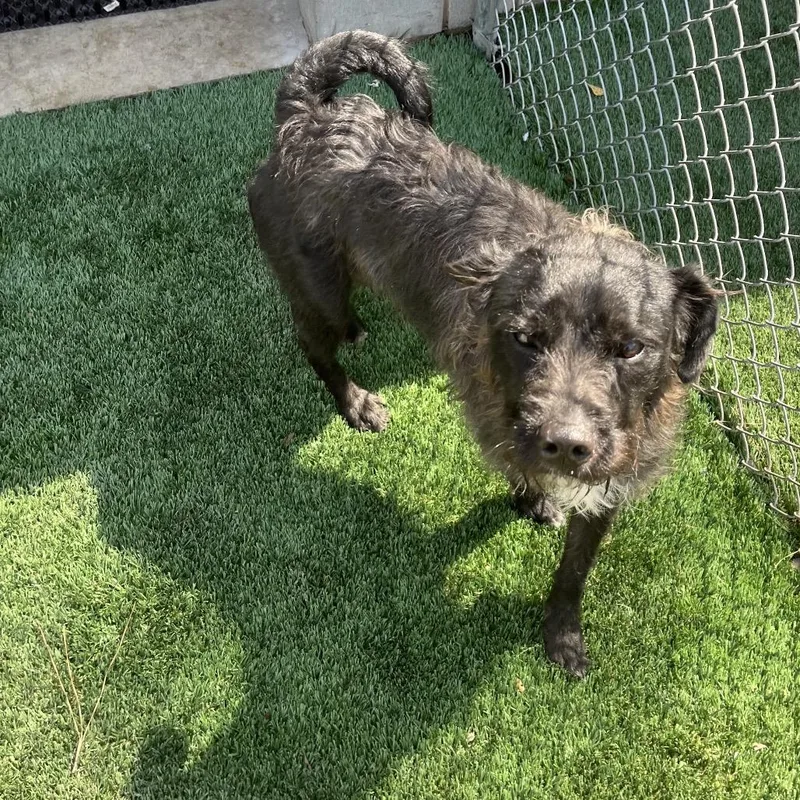 Randy Jackson thumbnail 2