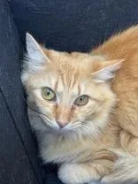 Valentina thumbnail 2