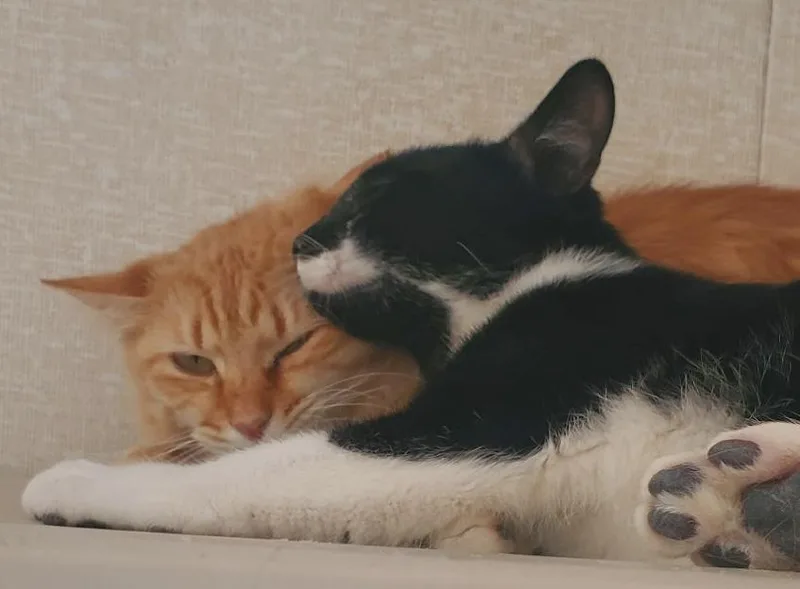 Valentina thumbnail 3